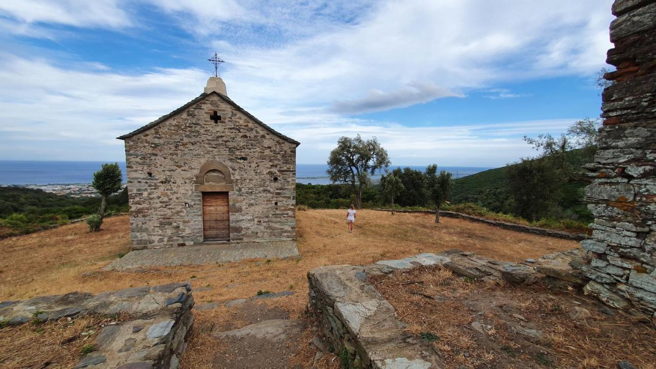 A Casetta Di Santa Maria Furiani Eksteriør billede